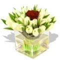 White tulips with single rose in Vase