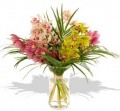 Cymbidiums in vase