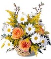 Happy Thoughts Bouquet