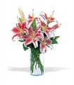 Lovely Lilies